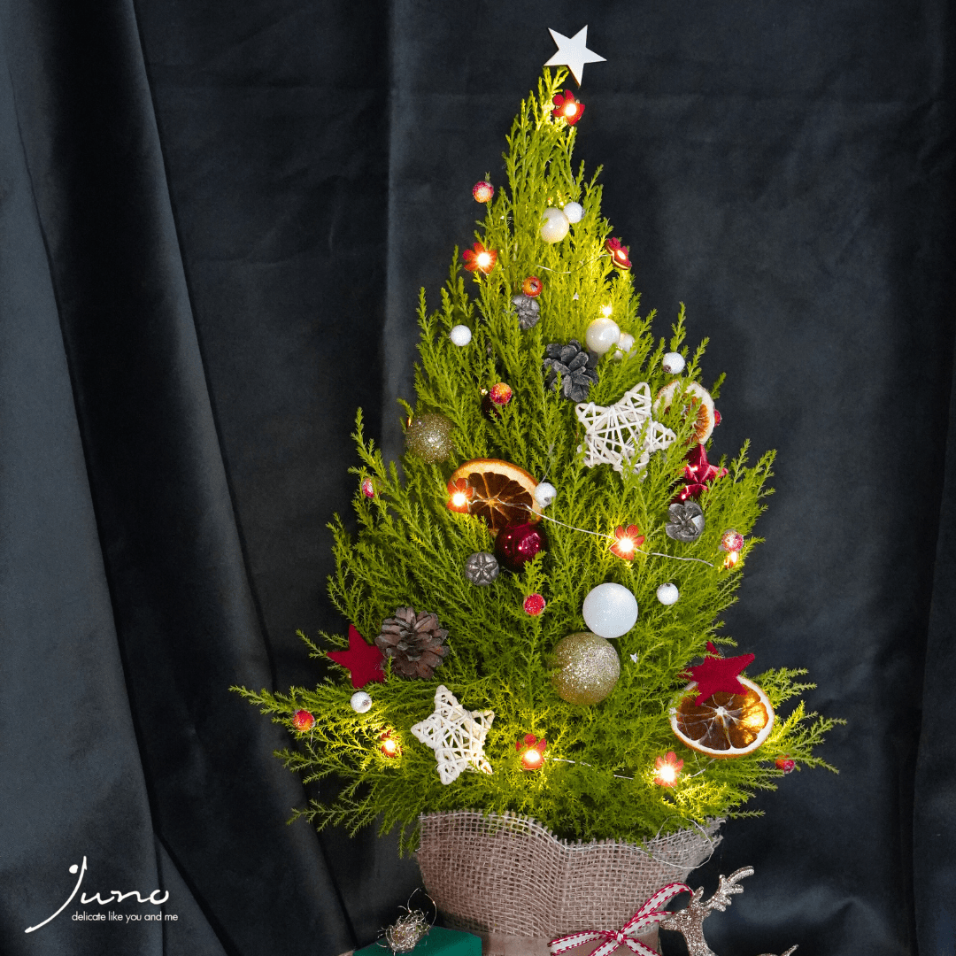 Mini brăduț de Crăciun împodobit